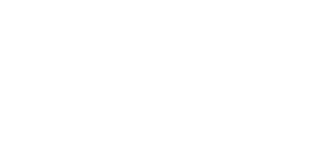 client-logo-giz