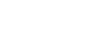 client-logo-viceroy